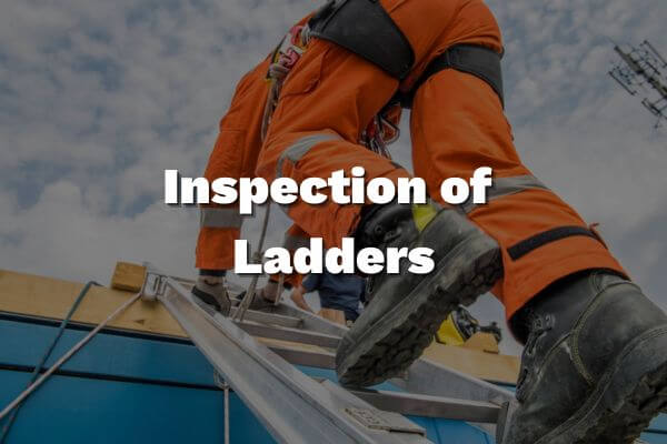 7 79ad1145 d688 467f 8367 91c34a11043e